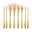 T4B Makeup Brush Golden 8' 