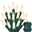 Christmas Lights Battery Operated String Lights 18ft 50 LED 8 Modes LED Mini Lights with Timer for Christmas Tree Wreath Party Home Indoor Outdoor Decor Waterproof Warm White/white