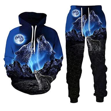 Men's Tracksuit Hoodies Set Blue Hooded Graphic Animal Wolf 2 Piece Print Sports & Outdoor Casual Sports 3D Print Streetwear Designer Basic Spring Fall Clothing Apparel Hoodies Sweatshirts  Long